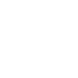 Globe Hemisphere West