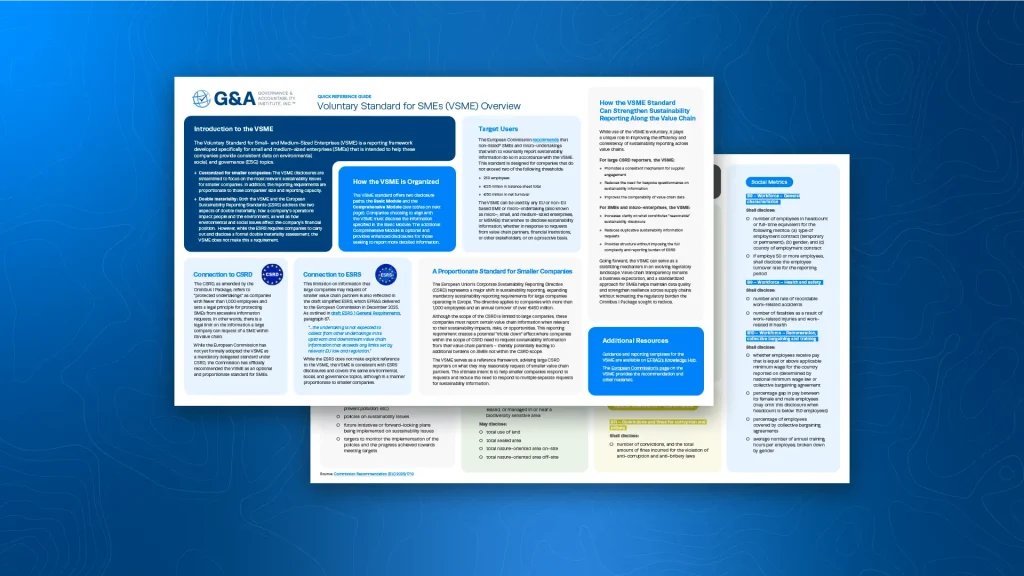 Voluntary Standard for SMEs (VSME) Quick Reference Guide