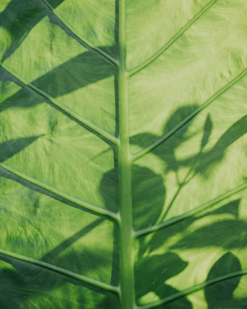 G&A-Service-Cover-Climate-Nature