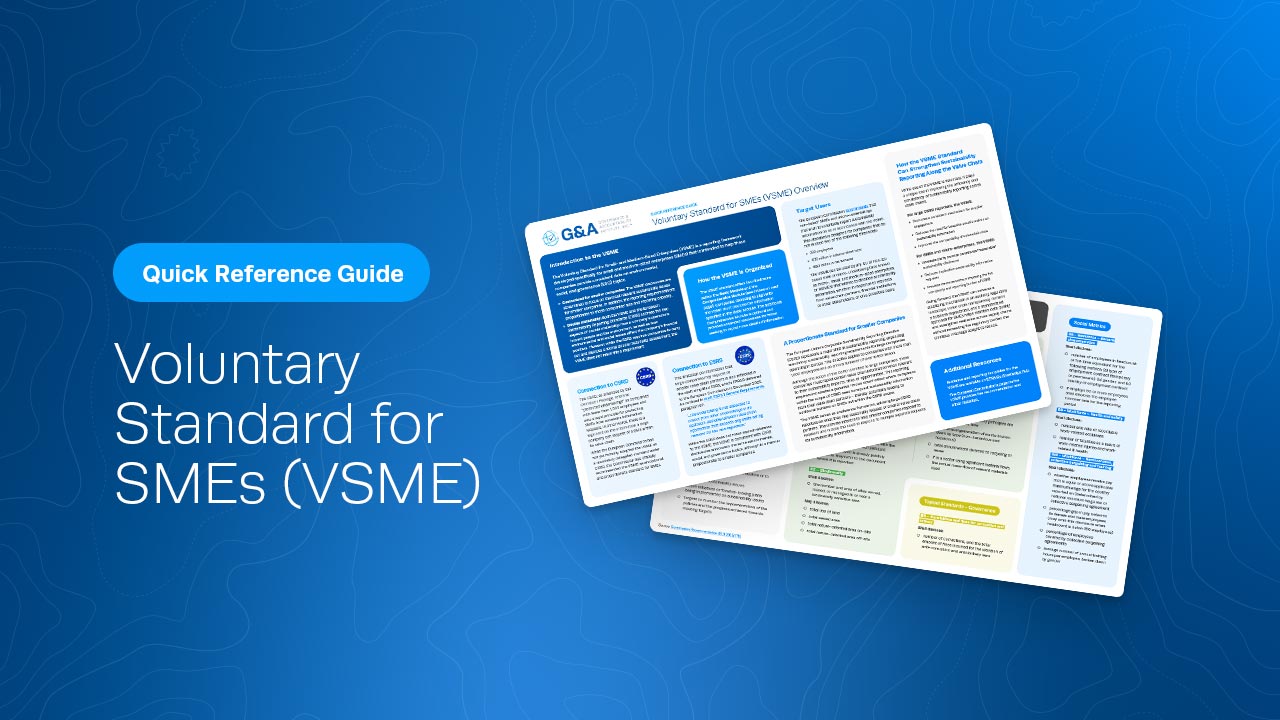 Vsme Explication VSME Quick Reference Guide for SMEs | G&A Institute
