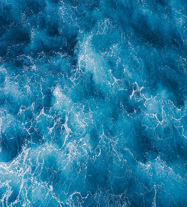 sustainability strategy BG