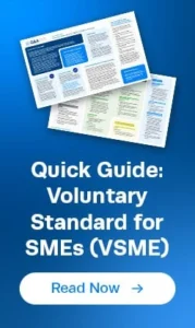quick-guide-vsme