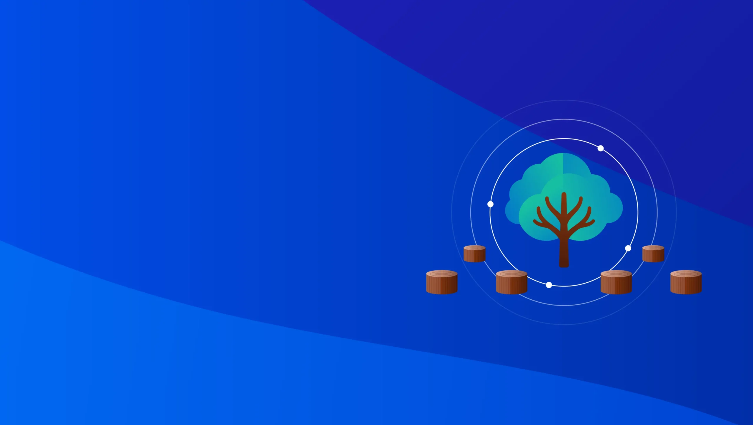 EU Finalizes Deforestation Regulation: What’s Changing for Companies