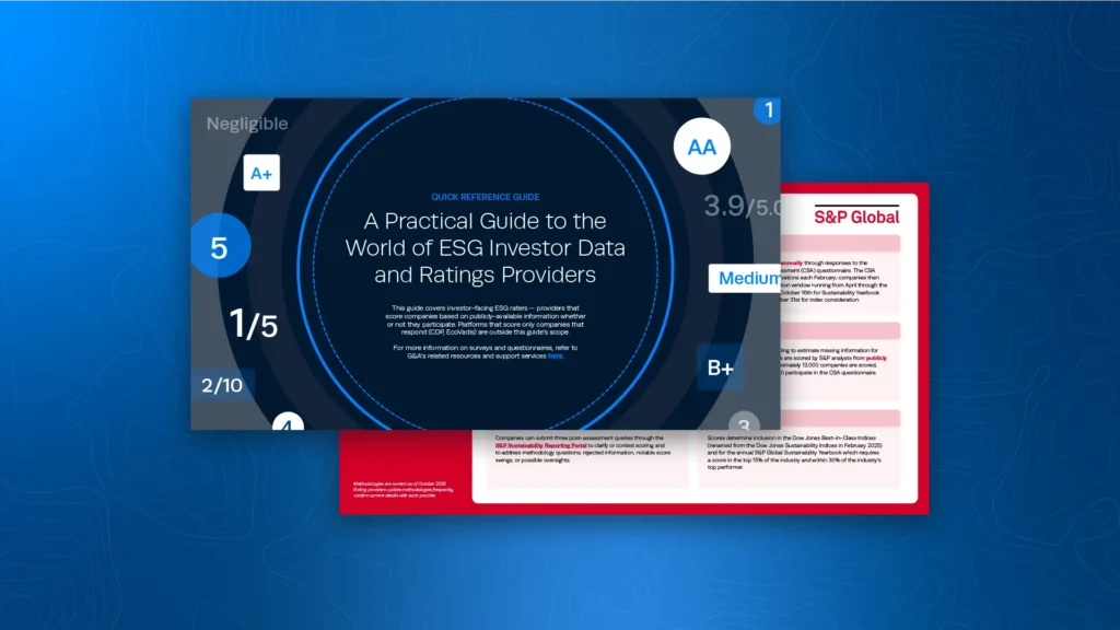 A Practical Guide to the World of ESG Investor Data and Ratings Providers
