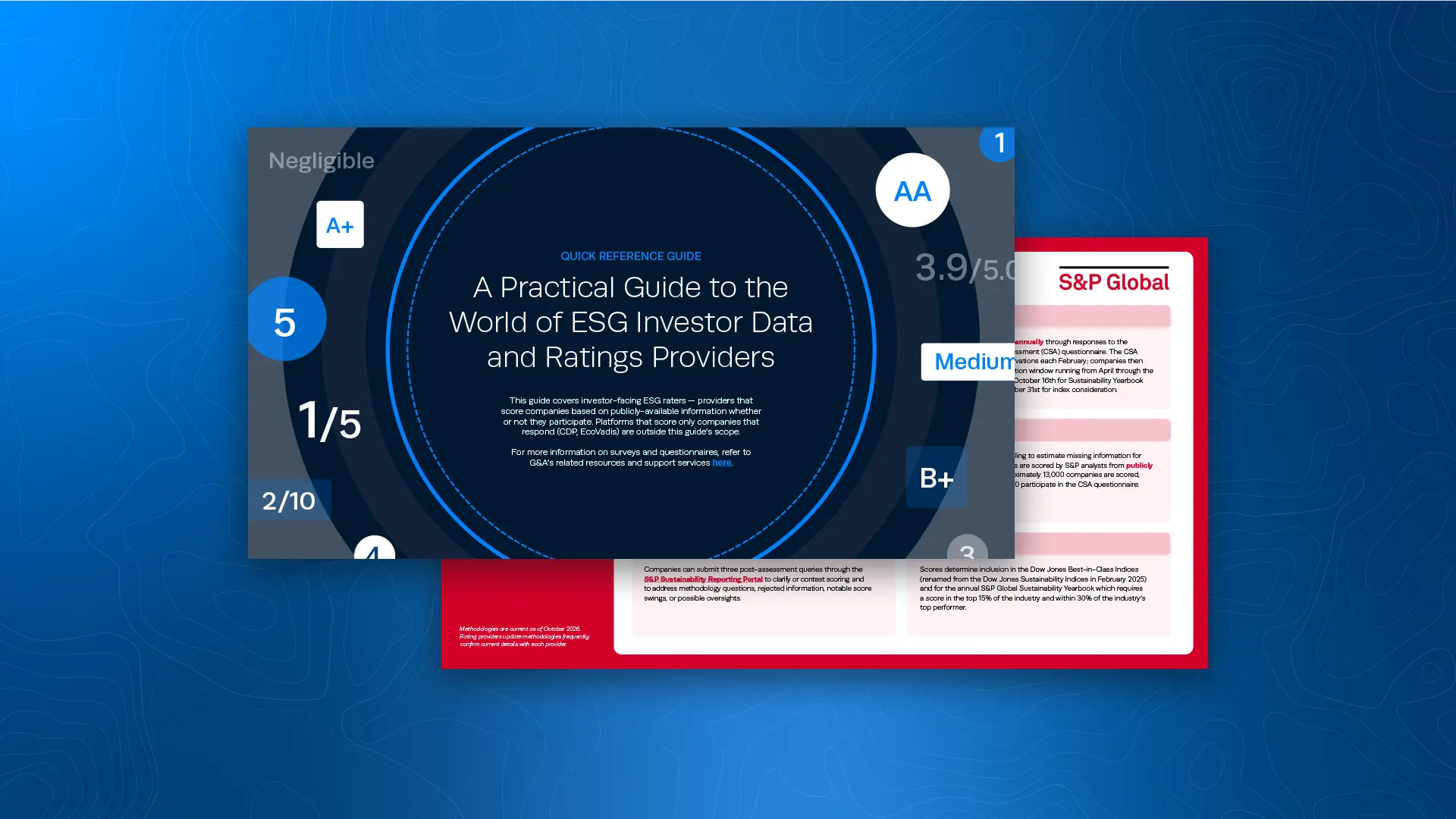 A Practical Guide to the World of ESG Investor Data and Ratings Providers